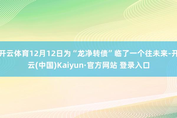 开云体育12月12日为“龙净转债”临了一个往未来-开云(中国)Kaiyun·官方网站 登录入口