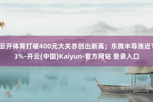 云开体育打破400元大关亦创出新高；东微半导涨近13%-开云(中国)Kaiyun·官方网站 登录入口